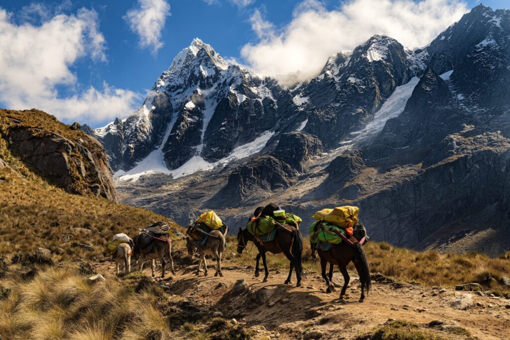 Donkeys and horses transport supplies on their backs along dirt paths. In the background, jagged mountain peaks rise above white, snowy glaciers.