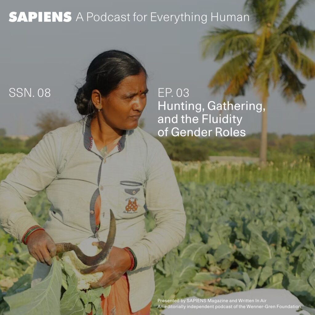 A person is standing in a field harvesting plants, with a palm tree in the distant background.