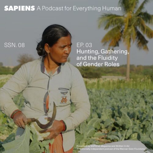 A person is standing in a field harvesting plants, with a palm tree in the distant background.