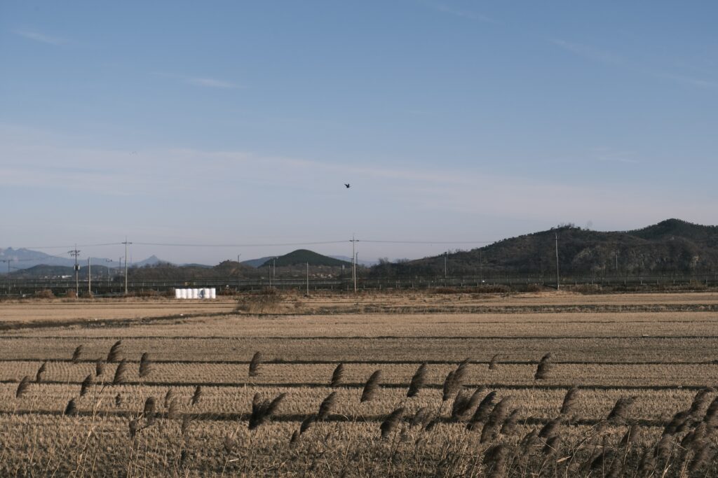 An agricultural field is set before a series of utility lines.