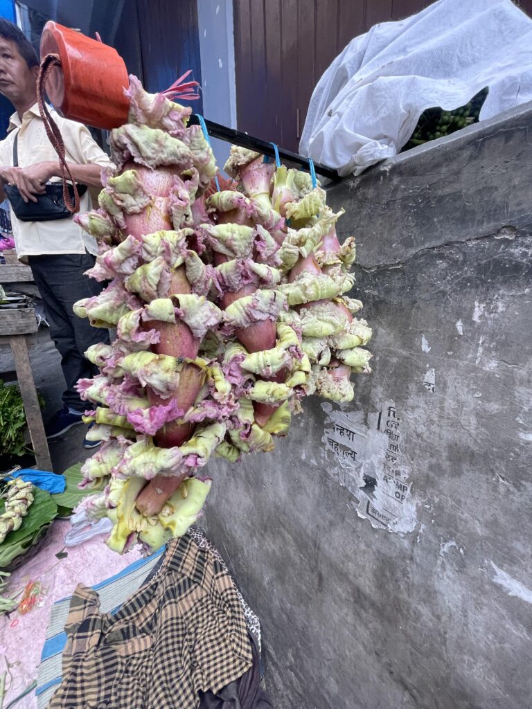 Bunches of plump green and pinkish-hued blossoms hang on a red and black pole attached perpendicularly to a gray concrete wall. A person stands beside them in the background.
