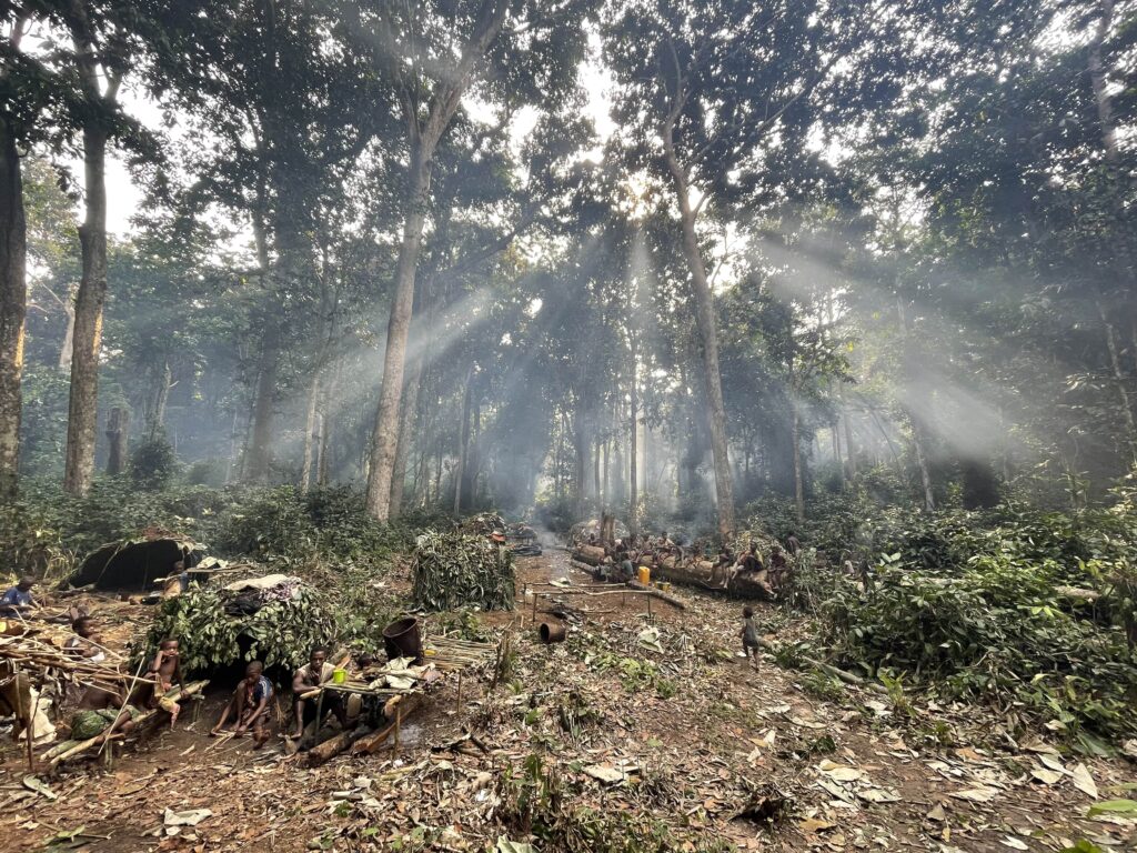 Rays of sunlight penetrate the green forest canopy above a camp of huts built from tree branches and green foliage.