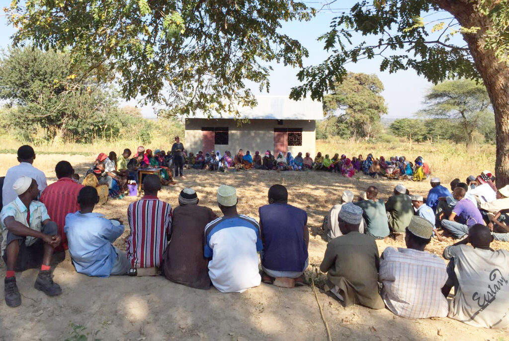 People sit on the ground in a large circle under the shade of a green leafy tree with a white-walled structure in the background.
