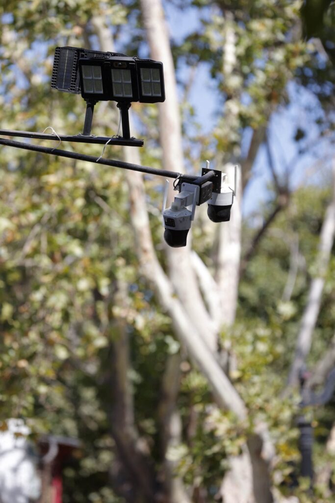 Outdoors, in front of a leafy green tree with a whitish trunk, small black-and-white electronic devices are suspended from long, thin black poles.