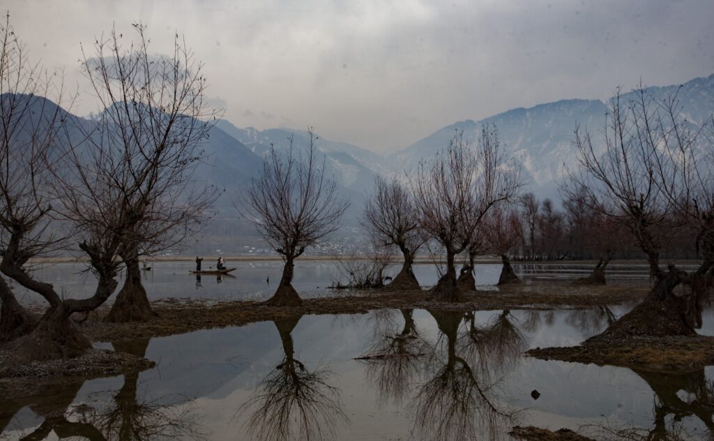 Kashmiri men separate chestnuts from mud while in boats floating serenely across a silvery lake. Trees are reflected on the water's surface.