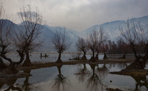 Kashmiri men separate chestnuts from mud while in boats floating serenely across a silvery lake. Trees are reflected on the water's surface.