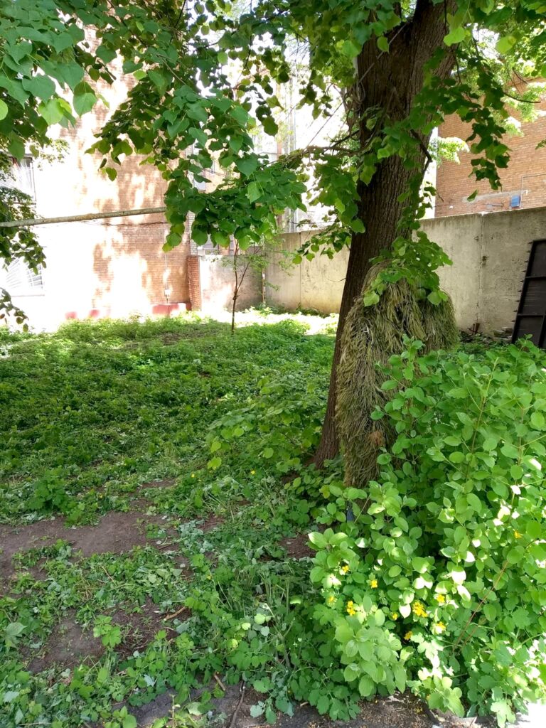 Ukrainian Volunteers Weave Camouflage and Care