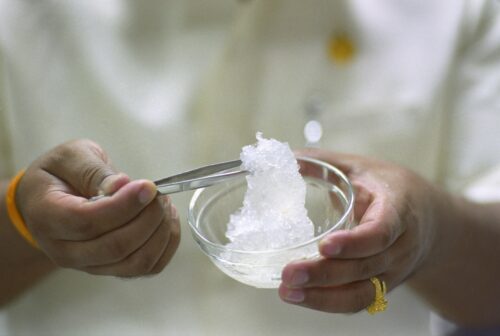 Holding a small glass bowl containing a translucent, gelatinous substance, a pair of hands uses tweezers to gently lift the substance out of the bowl.