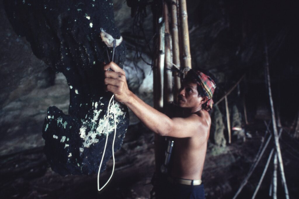 Standing on bamboo scaffolding perched against a rocky surface, a shirtless man with a bandana around his head reaches out with one hand to pluck a small, crescent-shaped object from the wall.