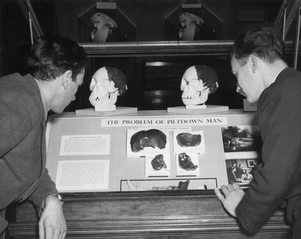 A black-and-white photograph shows two men looking intently at a display that contains reconstructions of two skulls. A line of text in the display reads: “The Problem of Piltdown Man.”