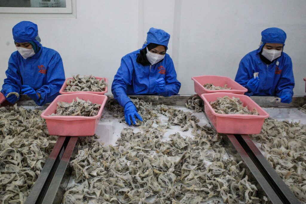 Three workers clad from head to toe in blue protective gear and white facemasks sit at large tables covered in small grayish objects, which they sort into pink plastic containers.