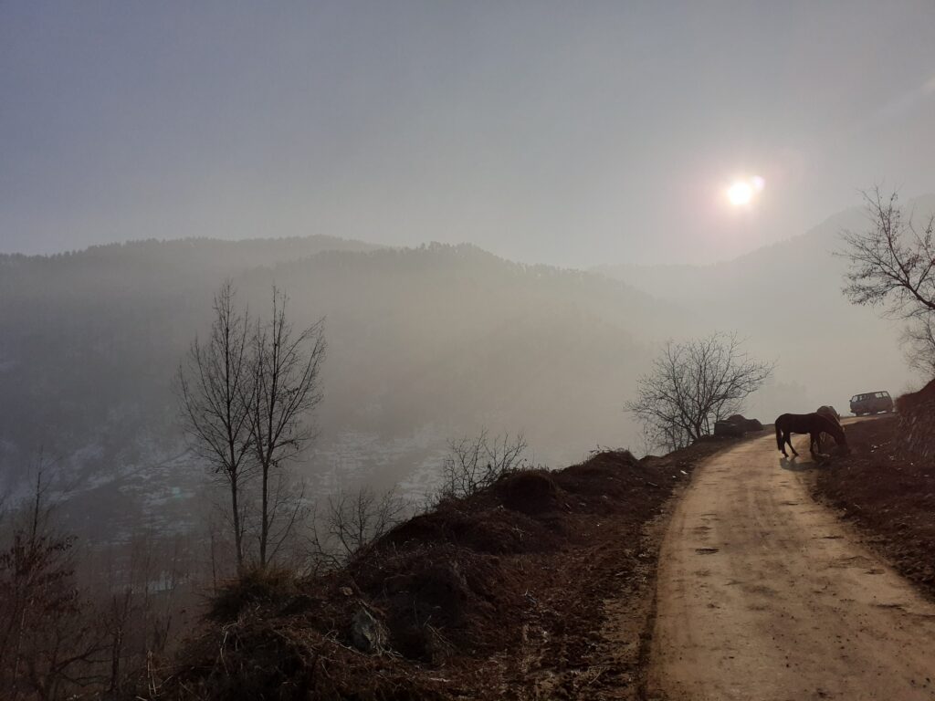 A horse and another animal graze alongside a dirt road rising across the right side of a photo. The shines on a hazy scene above a village.