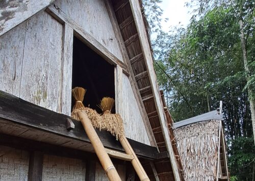 A bamboo ladder leads to the upper portion of a building with a thatched roof.