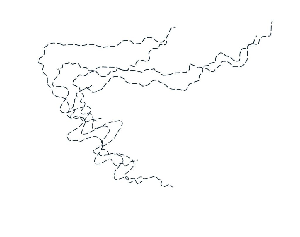 Lines rise together on the left and then disperse along different trajectories to the right.