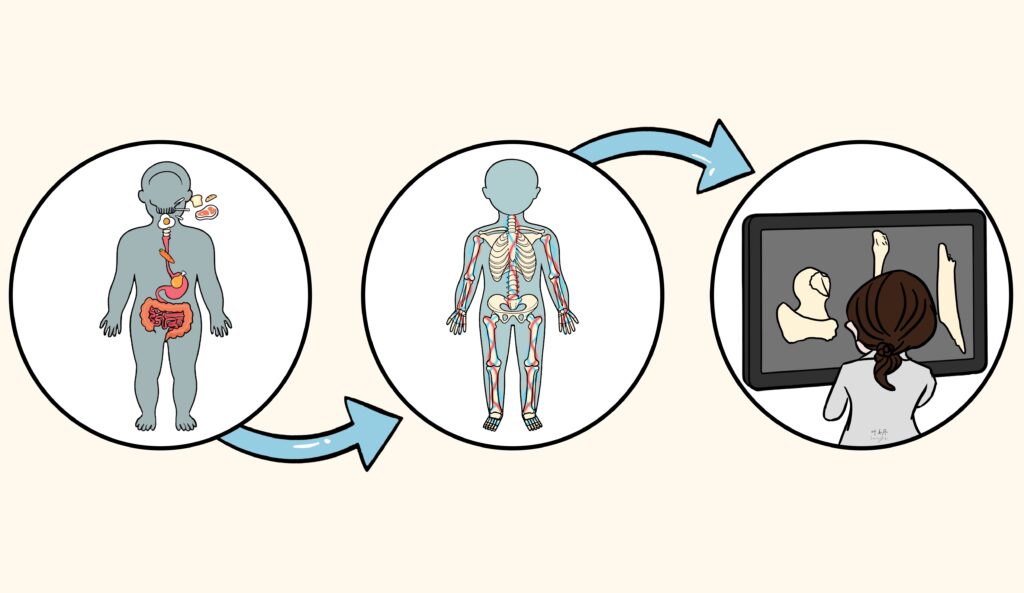 Inside of three circles, the human body is shown breaking down and metabolizing food. In the third circle, a person in a lab coat analyzes human bones to reveal details about how people lived and ate in the past.